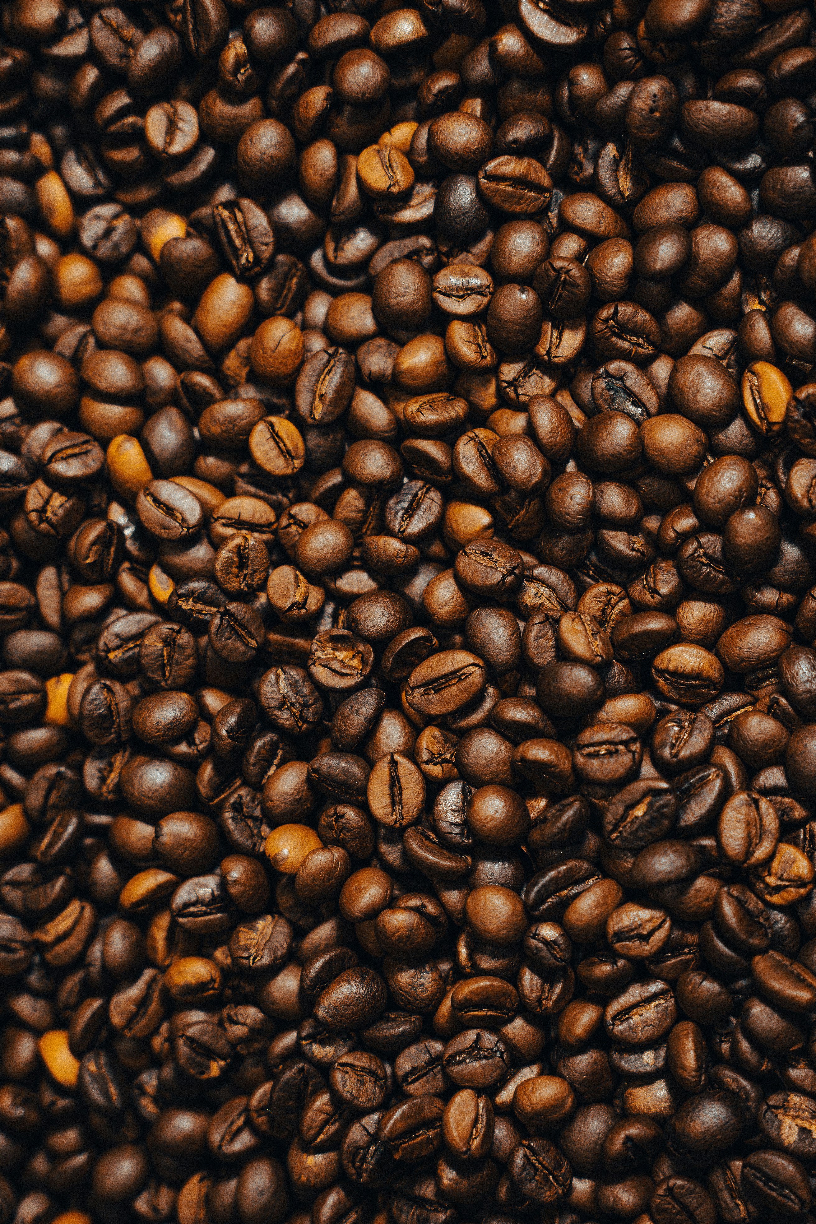 Morning Riot coffee roasting